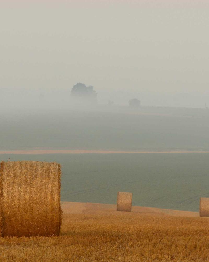 Home Textile — Tapis de Prière Luxe